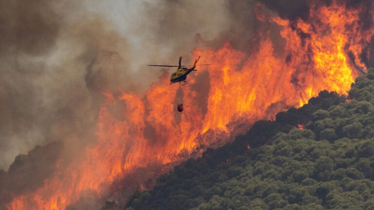 COMUNICADO DE LA PDSS SOBRE EL INCENDIO EN LA SIERRA DE MIJAS