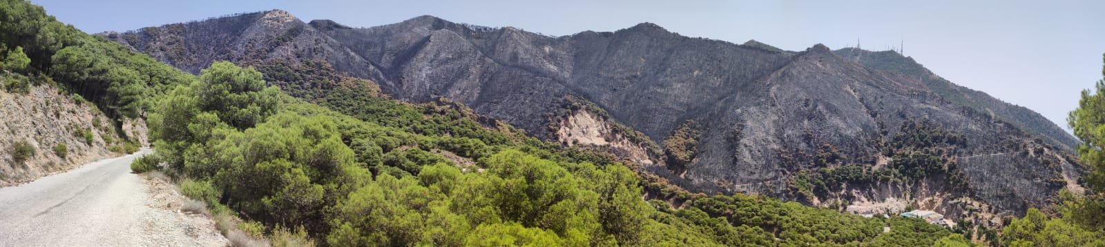 Comunicado PDSS Incendio - Movimiento Ciudadano Pro Parque Natural Sierra Mijas Alpujata